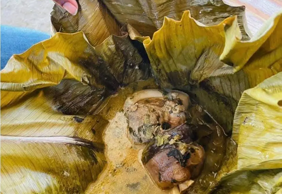 Ndomba de poisson