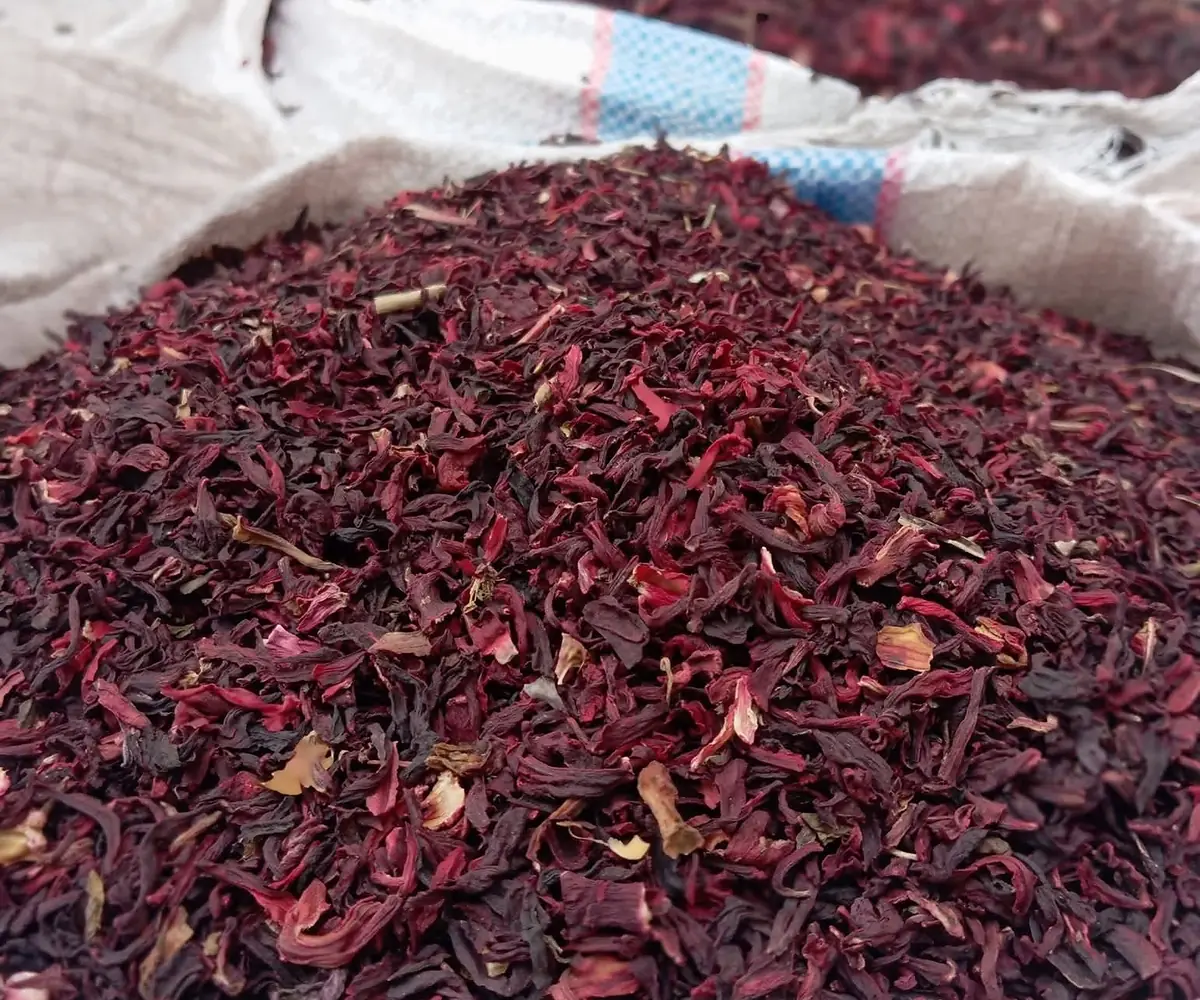 Hibiscus flowers
