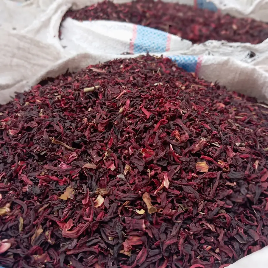 Hibiscus flowers