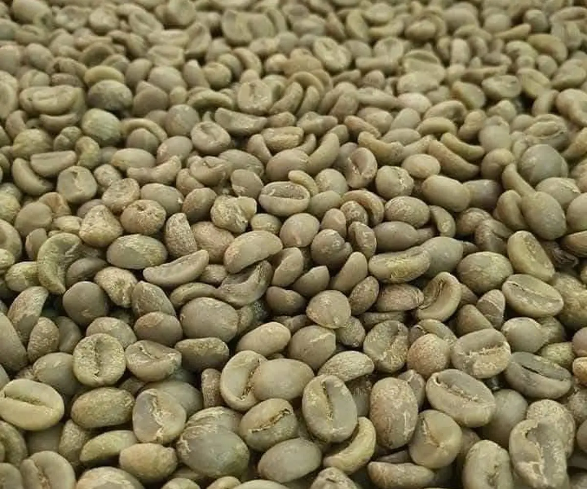 Western highlands arabica coffee