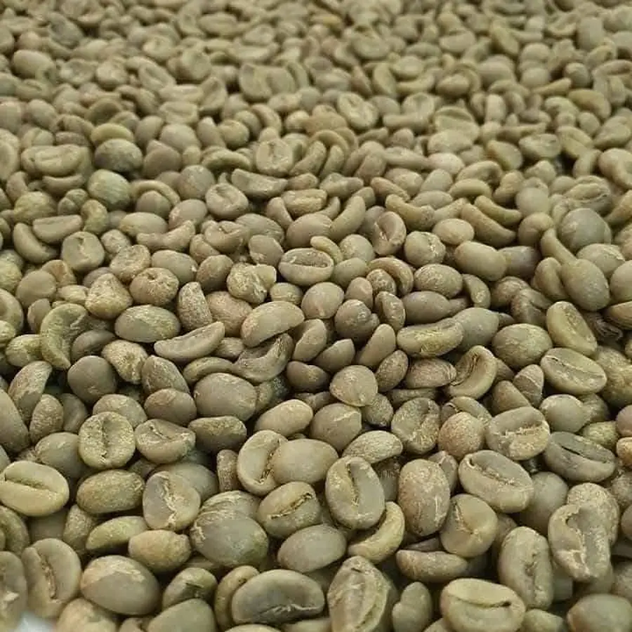 Café arabica de l'Ouest