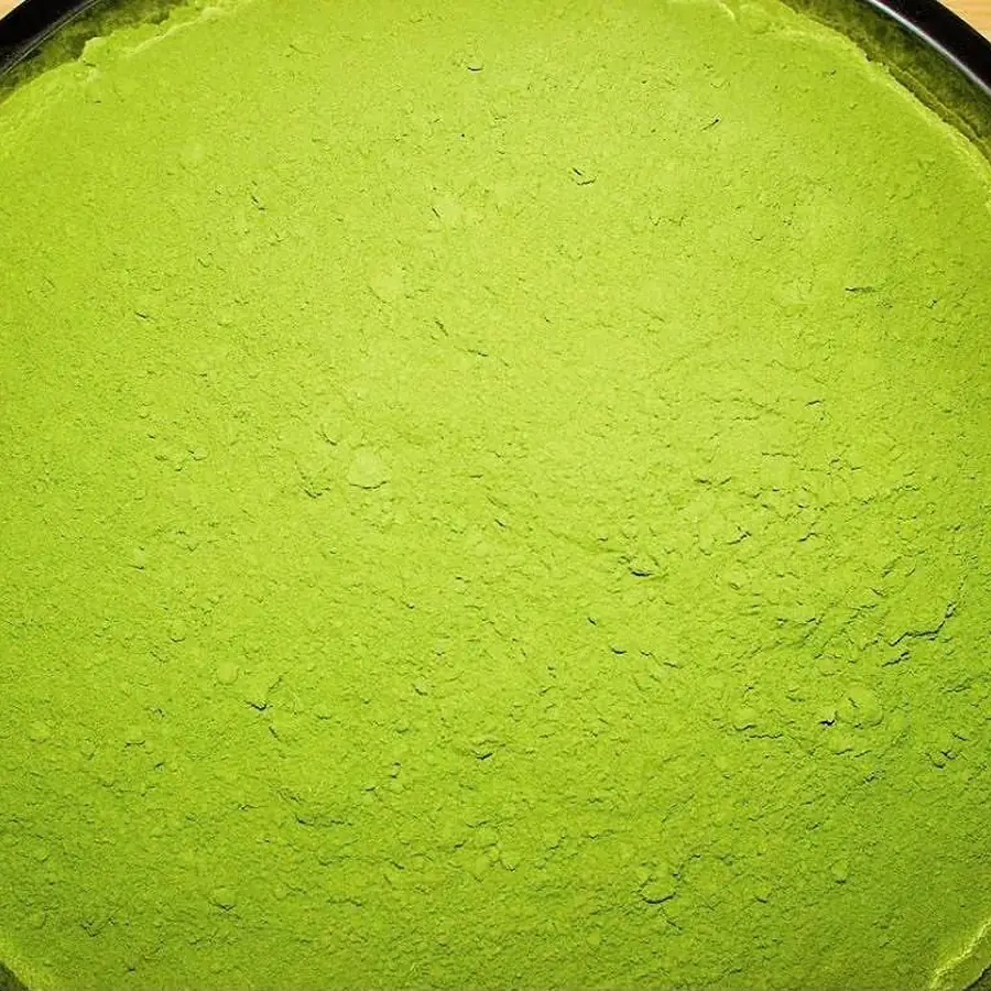Moringa