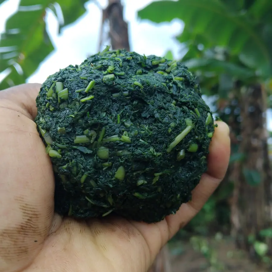 Bitterleaf