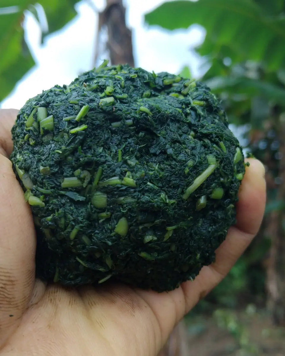 Bitterleaf