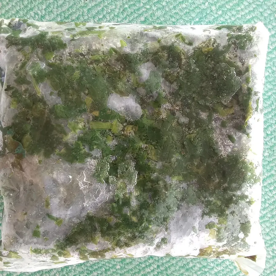 Zom leaves