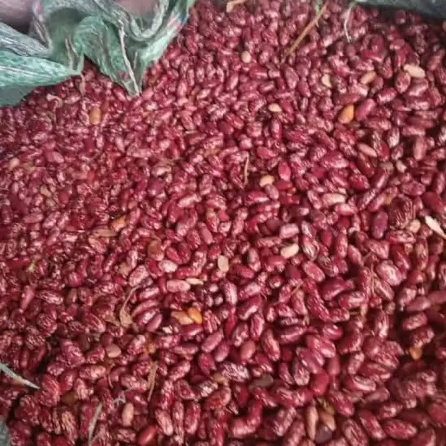 Haricots rouges / blancs