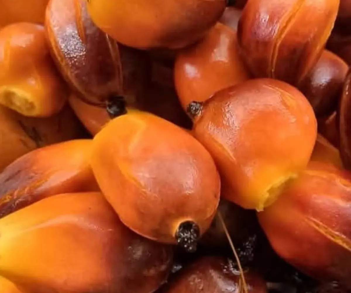 Palm nuts
