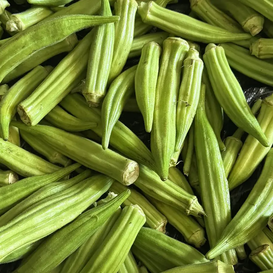 Okra