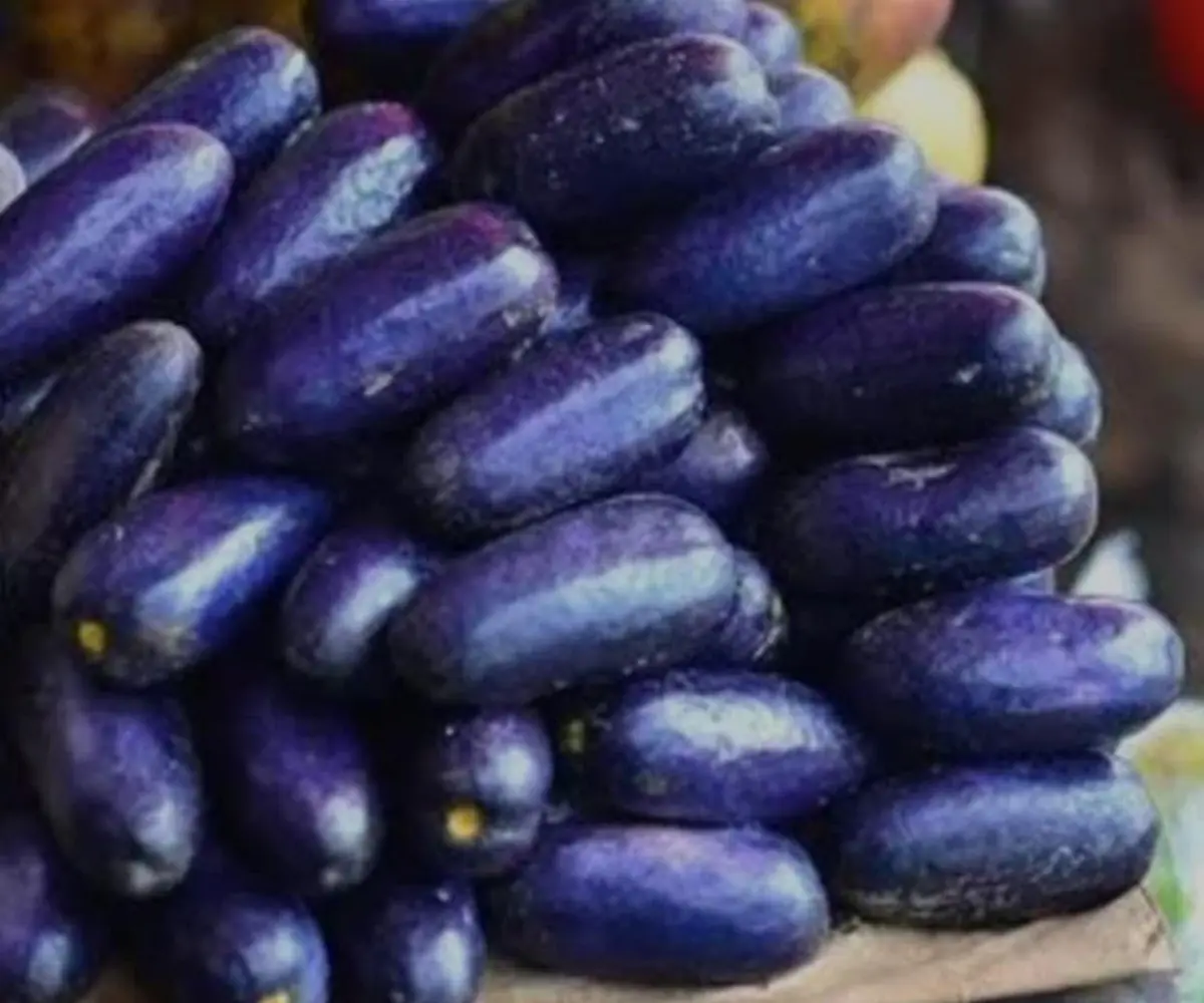 African plum