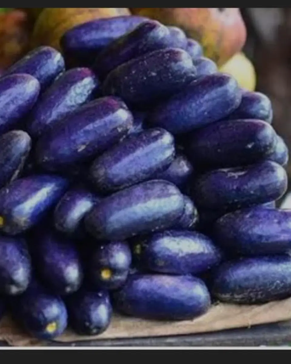 African plum