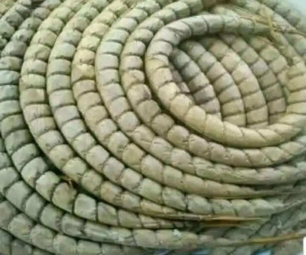 Cassava stick