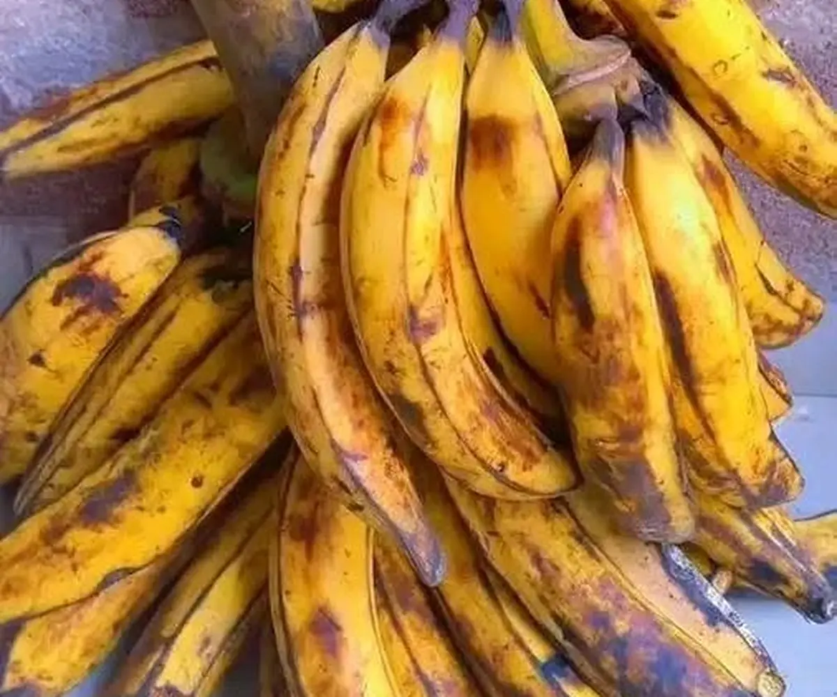 Plantain mûr