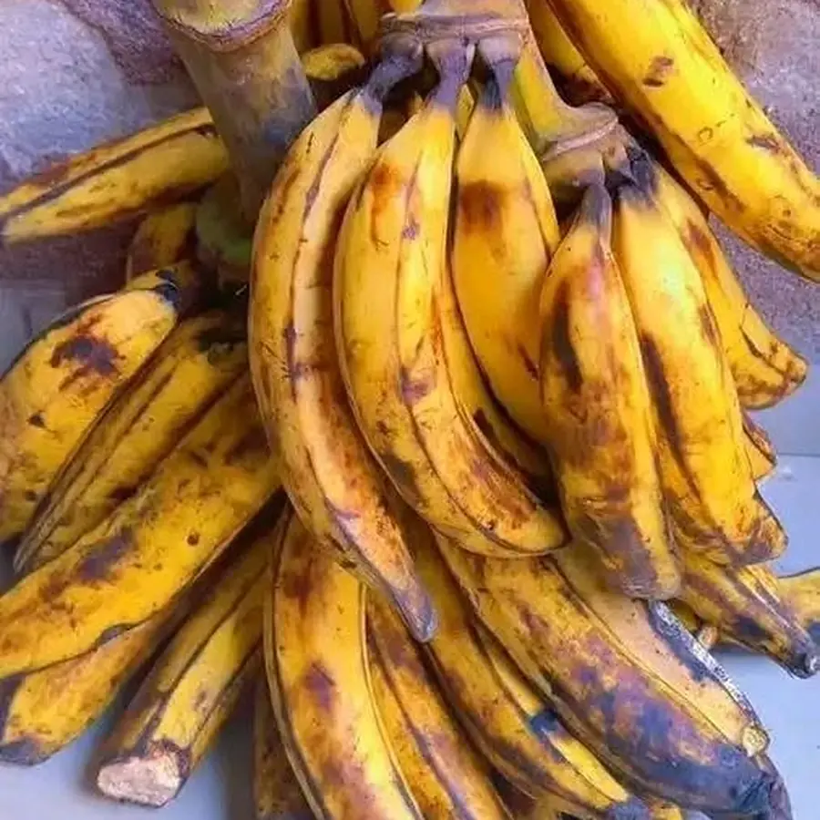 Plantain mûr