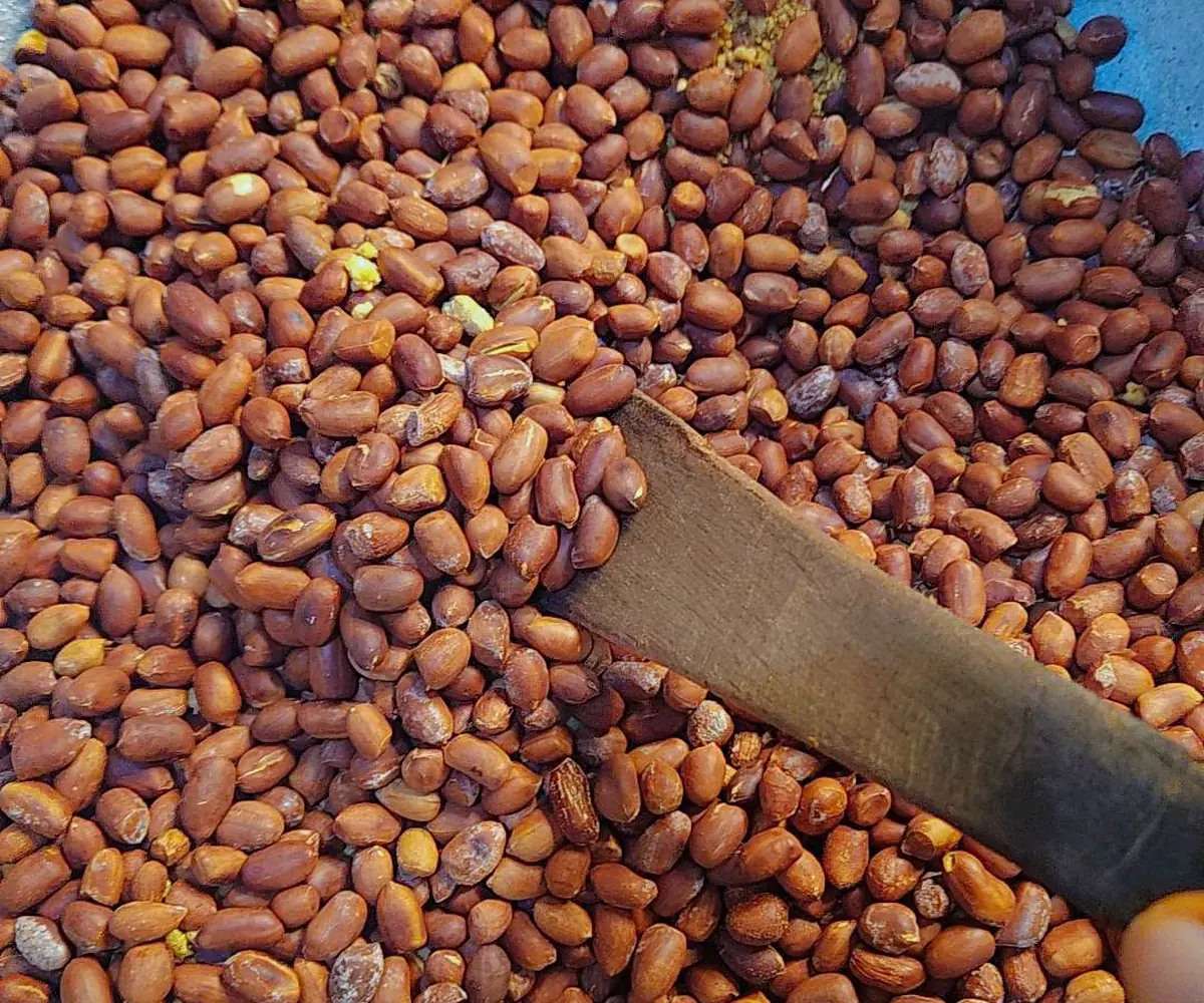 Roasted groundnuts