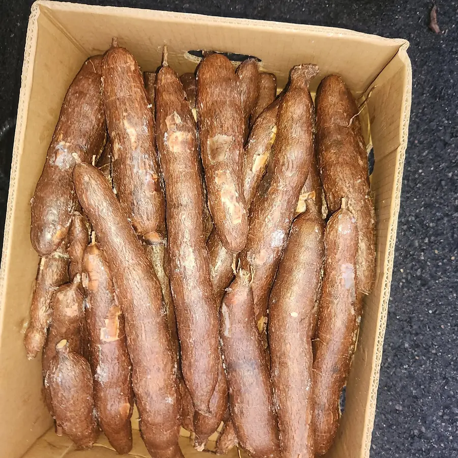 Fresh cassava